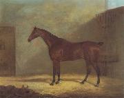 John Boultbee A Chestnut Hunter With A Groom By a Building oil painting